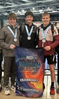Wenner, Brosius place third on mat