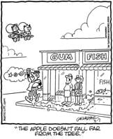 Heathcliff